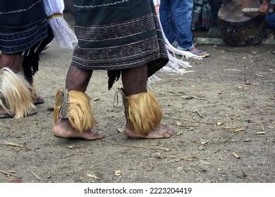 East Timor Traditional Dance Tradition Bidu Stock Photo