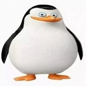 Create Meme Penguin From Madagascar Skipper With Golden Teeth