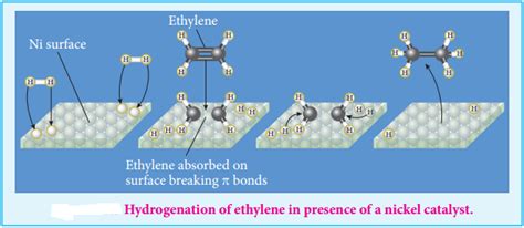 Catalysis