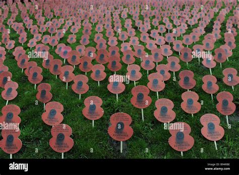 Royal British Legion Poppies Hi Res Stock Photography And Images Alamy