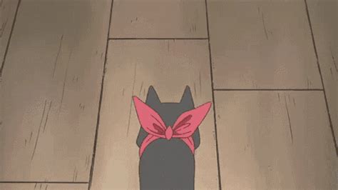 Sakamoto Nichijou Sakamoto Nichijou Cat Discover Share GIFs