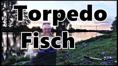 Torpedo Fisch Im Heimischen Gew Sser Youtube