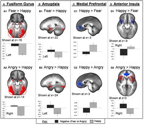 Task Valence Effect On FMRI BOLD Activation Regions Within Bilateral