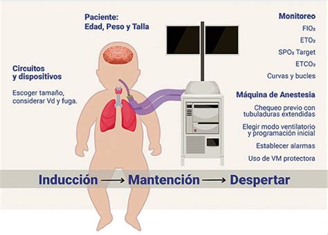 takaró Felhalmozódás míg ventilaciones de rescate en niños Sovány