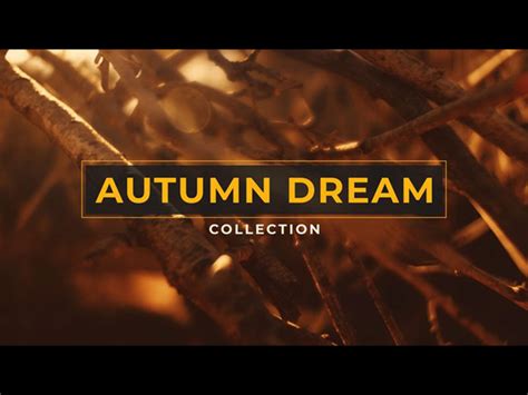 Autumn Dream Collection Shift Worship Worshiphouse Media