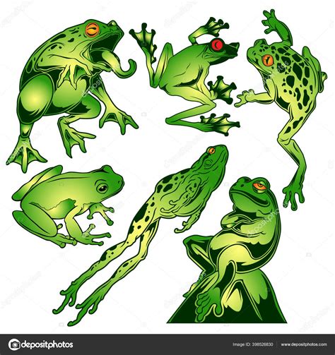 Frog Green Drawing Vector Illustration Stock Vector by ©thinkliketiger@gmail.com 398526830