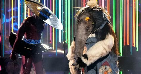 Who Is Anteater on The Masked Singer? Find out Here!