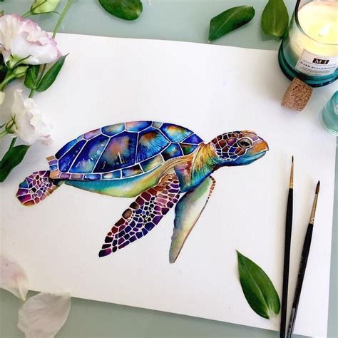 cute turtle drawing color