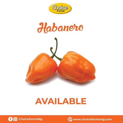 15 Proven Health Benefits Of Eating Habanero Pepper Poultry Farm Organic Fruits And