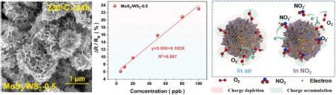 One Pot Hydrothermal Synthesis Of Self Assembled Mos Ws Nanoflowers