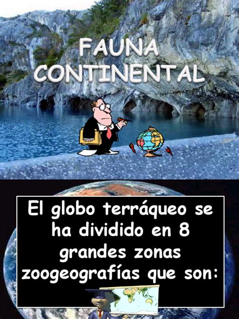 Fauna Continental