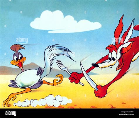 Wile E Coyote And The Road Runner Bugs Bunny Looney Tunes Cartoon The Best Porn Website