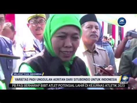 Selamat Pagi Indonesia Bibit Unggul Padi Bk Situbondo Agritan Jawaban