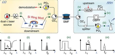 Ring‐modulator‐based Rof System With Local Ssb Modulation And Remote