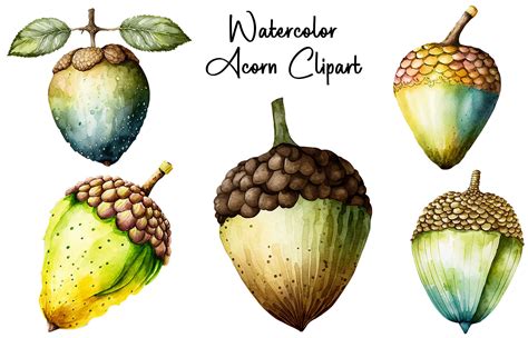 Watercolor Acorn Clipart Graphic by Cool Worker · Creative Fabrica