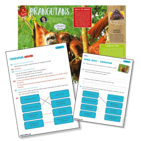 Teaching Plants In Year 3 Whizz Pop Bang Blog