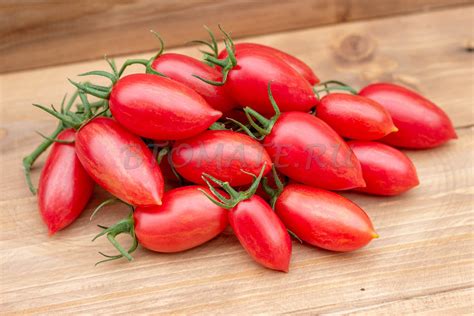 МАГЛИЯ РОЗА (Maglia Rosa) — BTomate