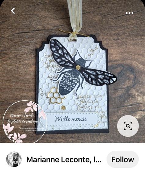 Stampin Up Queen Bee With Amanda S Inspiration Station Artofit