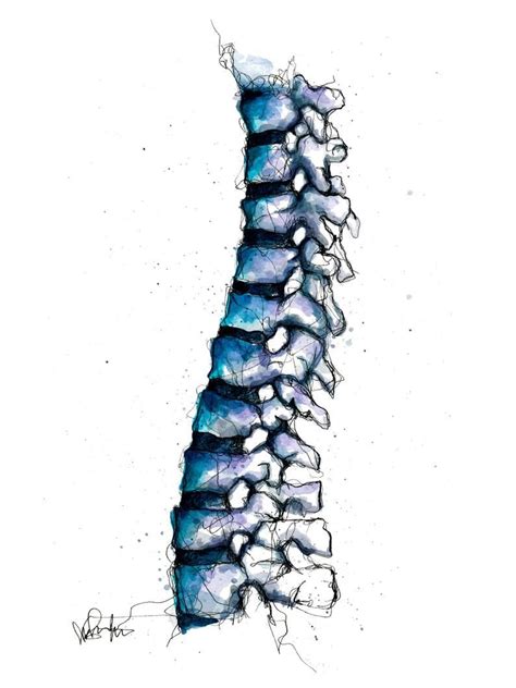 Spine art watercolor and ink anatomy art back vertebrae etsy – Artofit