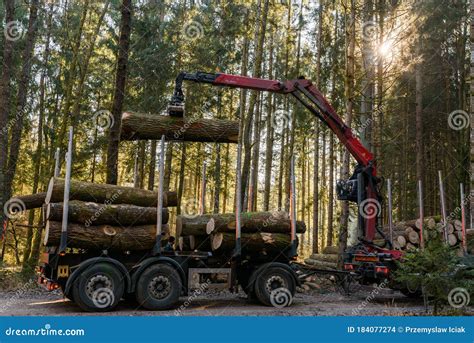 Crane In Forest Loading Logs In The Truck Timber Harvesting And