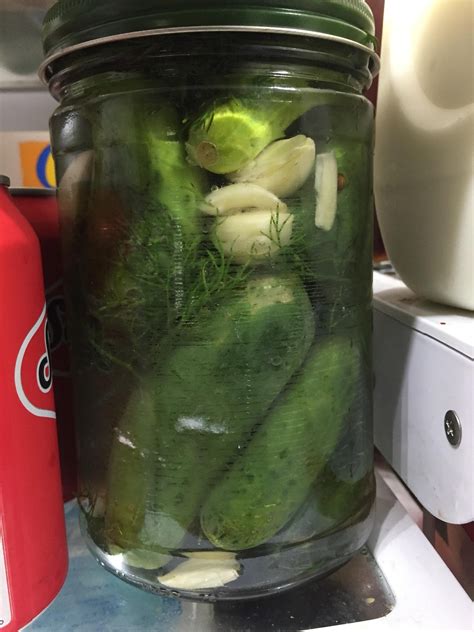 [HOMEMADE] kosher dill fridge pickles. | Pickles, Food, Kosher