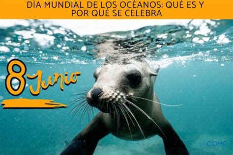 Día Mundial de los Océanos qué es y por qué se celebra Descubre todo