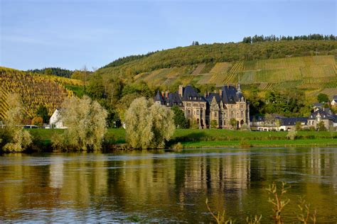 Mosel bei Mülheim Foto & Bild | deutschland, europe, rheinland-pfalz ...