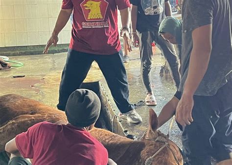 Revitalisasi Alun Alun Tugu Kota Malang Flashback Ke Zaman Belanda