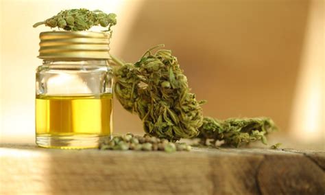 Publican Finalmente Reglamento Sobre El Uso Medicinal Del Cannabis En