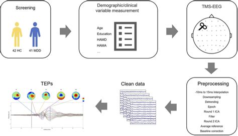 Schematic Diagram Of The Experimental Process And Tms Eeg Data