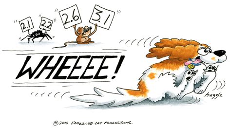 Anal Glands Cavalier Matters