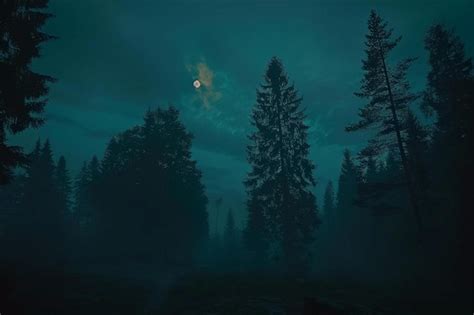 Premium Photo Beautiful Landscape In The Moonlight Full Moon Over Forest