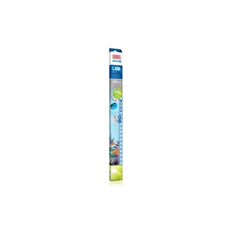 Tube Led Blue W Les Jardins De Maryline