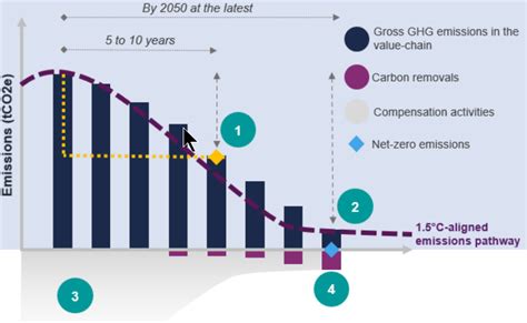 Net Zero Ambition Disclosure Nad Tool Sustainability Advantage