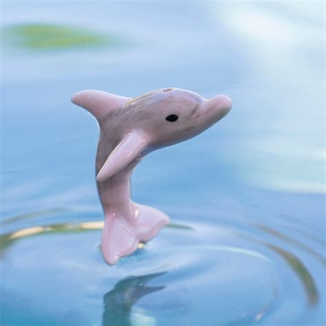 Pink Dolphins Amazon River