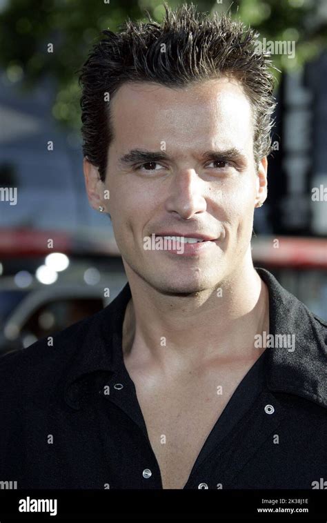 Antonio Sabato Jr 2025 - Eleanor Coleman