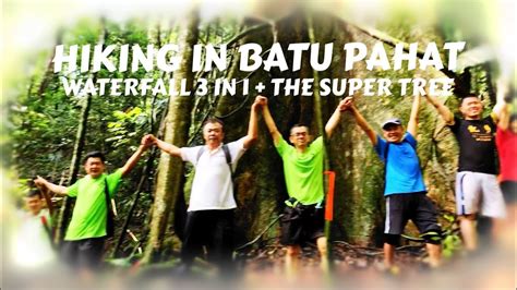 The Super Tree Hiking In Batu Pahat Malaysia Jungle