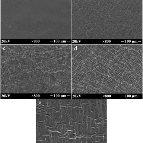 Xrd Pattern Of The Chitosan And Collagen Based Hydrogel Composites A