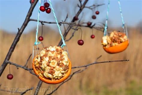 Werfen Sie Sie Nicht Weg Recycling Ideen F R Deine Orangenschalen