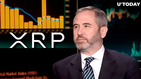 Ripple Ceo Backs Xrp Community Amid Major Event Details