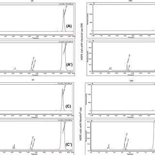 Chromatograms Of Voriconazole Eye Drop Solutions 5 Mg ML In HDPE Vials