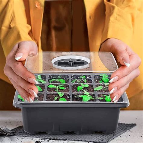 * Seed Starter Tray - Buy Online & Save | South Africa Wide Delivery