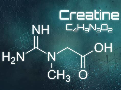 8 Types of Creatine Reviewed - Old School Labs