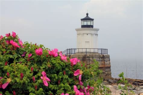 The Lighthouses Welcome Spring Pathways Of The Heart