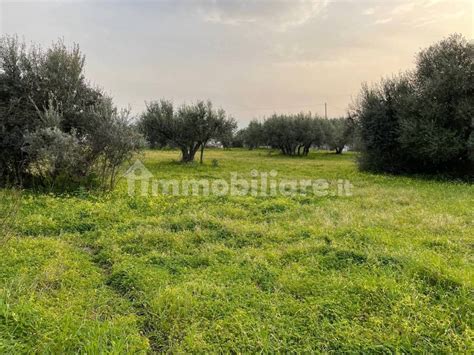 Terreno Agricolo Contrada Principe Di Mezzavilla Partinico Rif