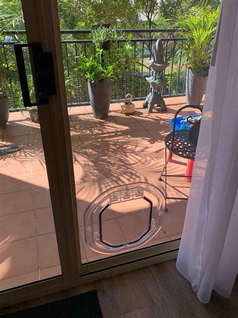 Pet Doors In Central Coast Central Coast Glass Glazing