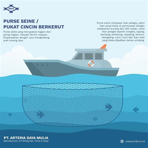 Mengenal Alat Tangkap Purse Seine Pt Arteria Daya Mulia