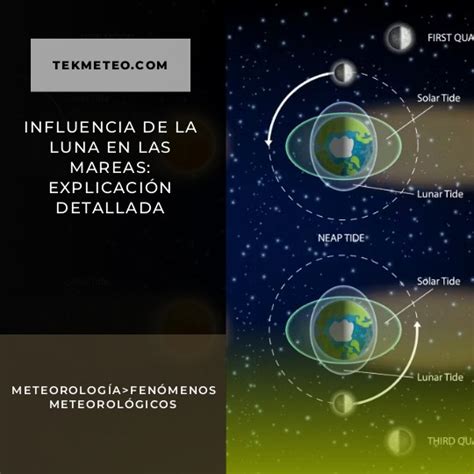 Influencia De La Luna En Las Mareas Explicaci N Detallada Tekmeteo