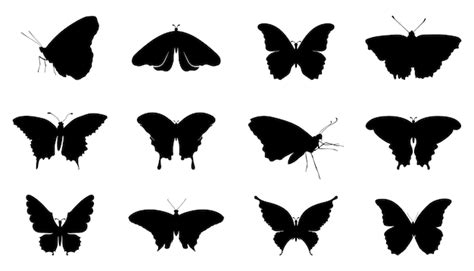 Colección de iconos de mariposa negra conjunto de silueta de mariposa