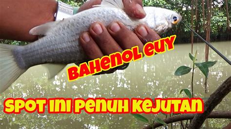 Mancing Belanak Saat Air Pasang Tinggi Babonya Tetep Mau Makan Kali Pah